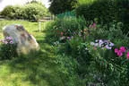 Paradiesgarten Bild 45