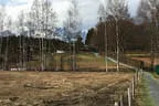 Paradiesgarten Bild 3