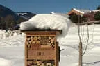 Paradiesgarten Winter Bild 11