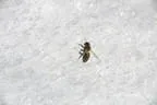 Paradiesgarten Winter Bild 0