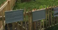 Unterstützen auch SIE uns!