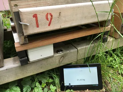 Stockwaage Stockwaage im Einsatz