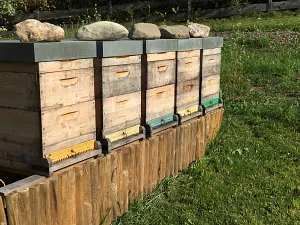 Bienenstöcke